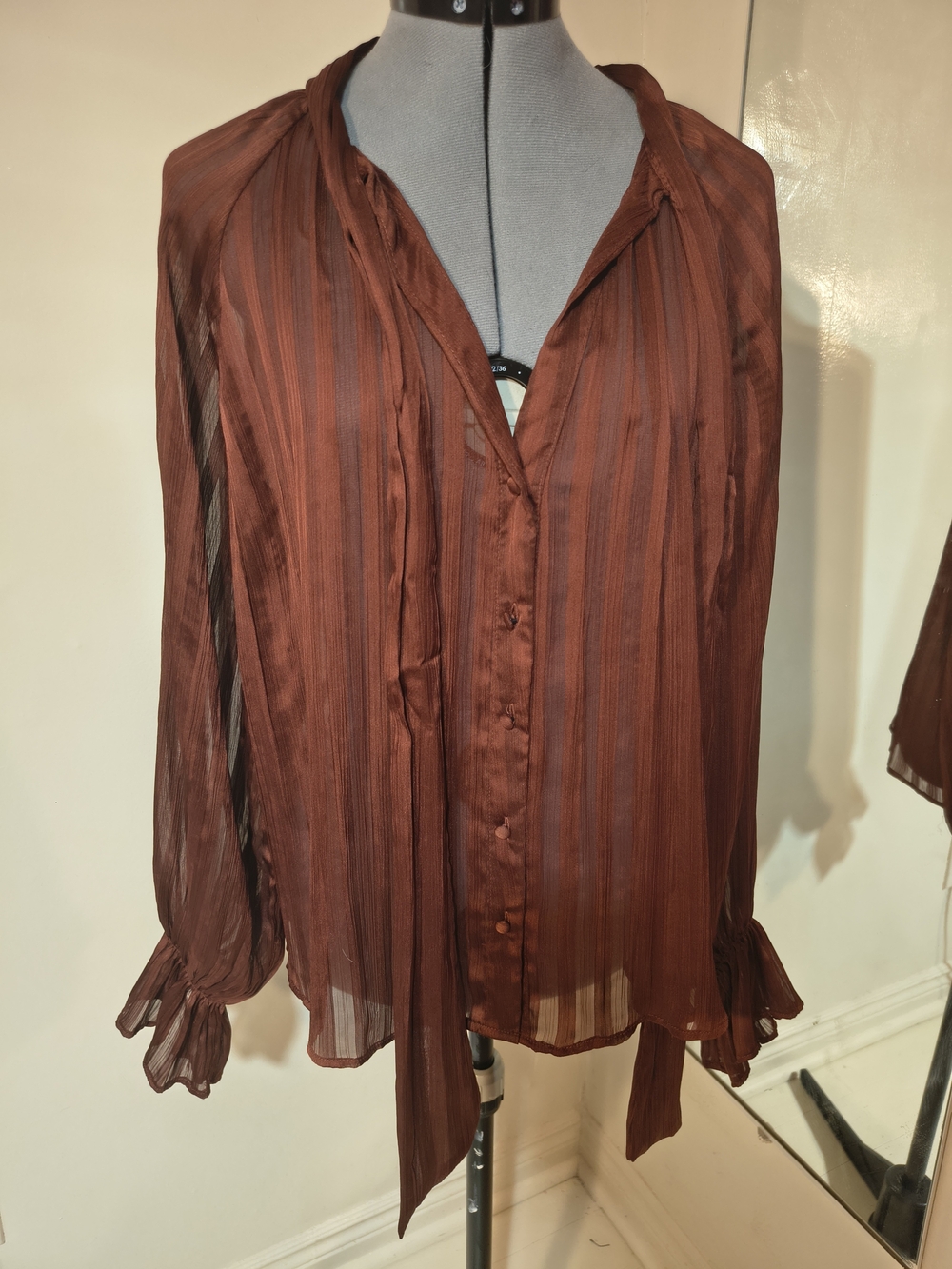 Zara Rust Sheer Long-Sleeve Tie-Neck Blouse